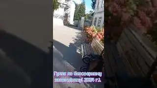 #заповедникПесковаВоронеж     Гуляя по биосферному заповеднику(2024г.).