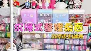 Immersive organization of desktop ✨✨✨丨Write a diary with me 📕丨Handbook丨Immersive丨White Noise 🎈🎈🎈