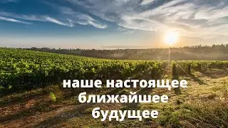Наше настоящее ближайшее будущее
