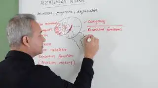 Alzheimer's Disease - Pathology, Tangles, Beta Amyloids