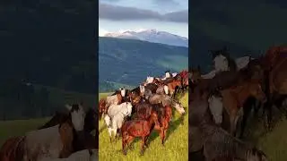 #горы #kazakhstan #алматы #природа