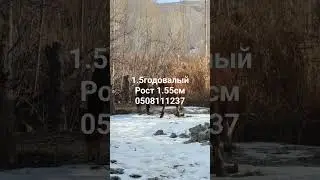 11 февраля 2024 г.
