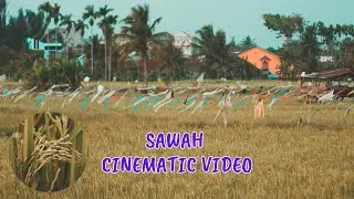 Sawah A Cinematic Video