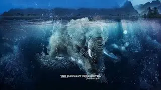 The Elephant Underwater