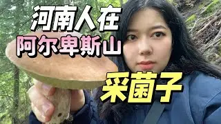 河南女孩在阿尔卑斯农村有个家，今天去采牛肝菌，还看到野鹿了