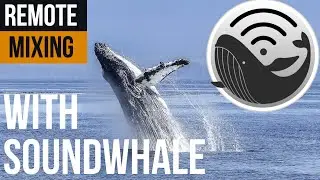 Remote Mixing With Soundwhale