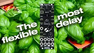 BASIL the Flexible Stereo Delay - Audio Examples