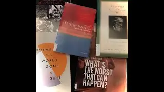 What am I reading?  Another video about the books I picked up at the local library