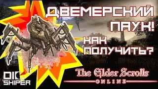 Двемерский паук в TESO (Питомец)