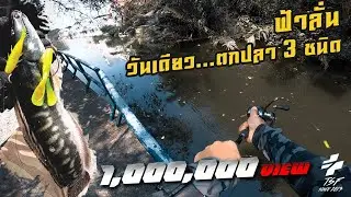 น้ำเค็มมาปลากัดยาก......แต่ก็กัดเมื่อ ฟ้าลั่น มาเยือน / FHA-LUNT MISSION [ENG SUB]