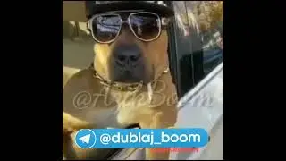 AzikBoom