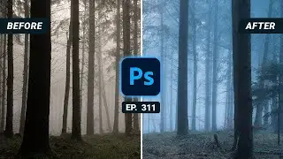 Adding the Cold, Blue Misty Forest Look with Photoshop | QE 311