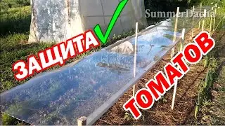 Защита ТОМАТОВ и Огурцов - от Града, Дождя, и Болезней / PRO опыт