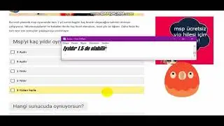 1 YILDA KAÇ LEVELE GELEBİLİRİM