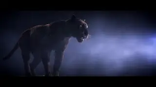 Panthera - A Creature Study