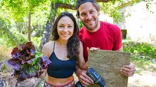 Completing projects that get us closer to the dream. Homesteading in Portugal