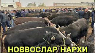 28 октября 2023 г АНДИЖОН ХУЖАОБОД МОЛ БОЗОРИ НОВВОСЛАР НАРХЛАРИ ANDIJON XÒJAOBOD MOL BOZORI NARXLAR