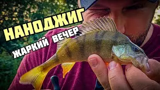 Вечерний наноджиг и мормышинг. Ловля окуня и краснопёрки на городском пруду.