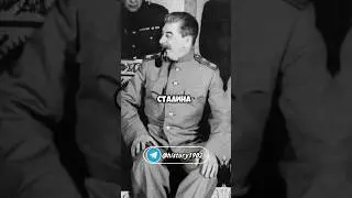 Известная фраза Иосифа Сталина 2 #история #history #реки #сталин #факт #лучшее #рекомендации
