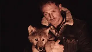 Jörg Bausch - Wie ein Wolf in der Nacht 