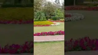 Tasbih Nature of Allah🍃✨🌴🍂🌺#flowers #flower #naturelovers #tasbih #ayishaabdulbasith #subhanallah