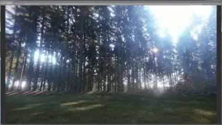 UNITY 5.6 - HDR - POST PROCESSING - PHOTOREALISM - FOREST 2