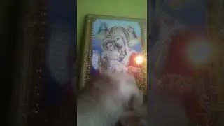 что передают высшие силы