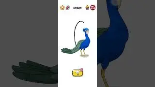 Braindom Draw Puzzle: Sketch - Level -  99 Walkthrough Solution #short #braindom #shorts