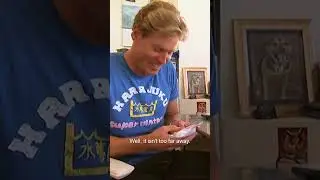 Dog Gets Never Done Before 