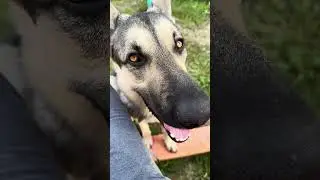 Обожаю свои карие глаза
