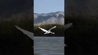 Новороссийск, город мечты!