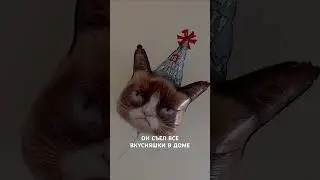 Мы или не мы?