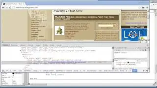 Web Scraper VBA Application1.25-Clicking a Button or Image Element on Web Form