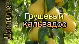 Грушевый кальвадос на Люкссталь 8М