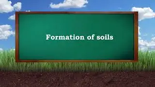 Formation of soils