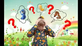 15. Is it a dog?