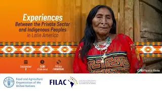 Indigenous Peoples and the Private Sector: case studies in Latin America