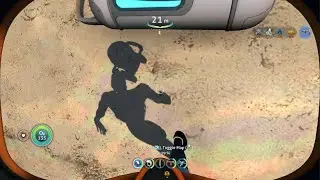Bro