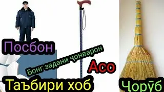 Таъбири Хоб: Бонг задани чонварон дар хоб,Асо дар хоб,Чоруб дар хоб,Посбони кардан дар хоб. ТБХ