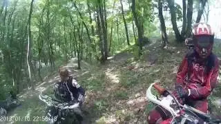 Я и пит любим кувыркаться..)