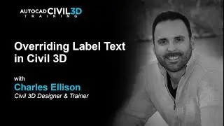 Overriding Label Text in Civil 3D