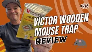 Victor Wooden Mouse Trap Review: A Classic That’s Hard to Beat, According to an Exterminator!