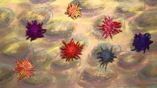 Морской ёж, пластилиновый познавательный мультфильм. Sea Urchin. Echinoidea. Plasticine Animation