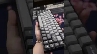 The BEST Keycap Set - Kinetic Labs Seal PBT Keycaps