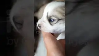 aab khaee Jaye GA kya