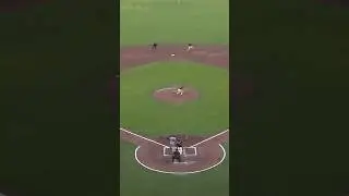 Patrick Bailey’s perfect throw to catch a runner stealing