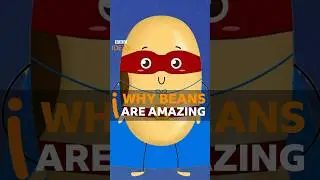 Why are beans so amazing? #Shorts #BBCIdeas #Beans
