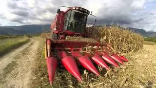 C/Terzi Da Ros - Mais Harvest 2015 *GoPro*