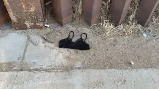 Not safe girls USA donkey 😰 || Mexico to America border crossing Punjabi || usa donkey