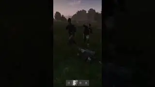 DayZ Fact #33